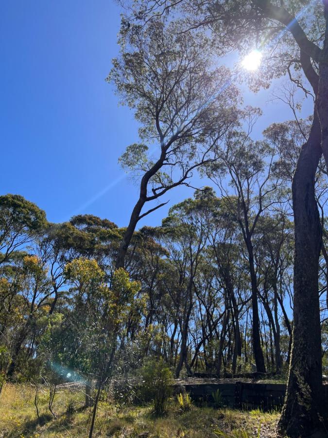Katoomba Hideaway - Free Wifi, Netflix, Disney Plus Esterno foto